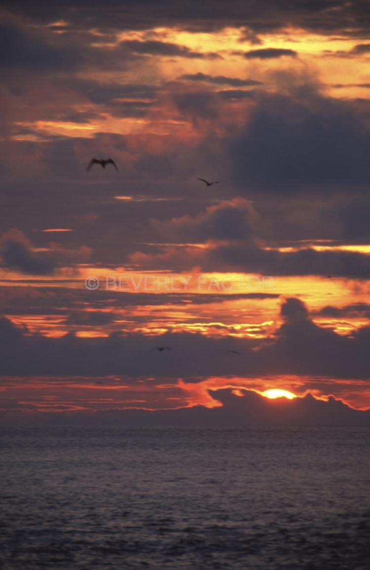 Islands;sunsets;sky;clouds;colorful;sun;yellow;water;red;Galapogos Island